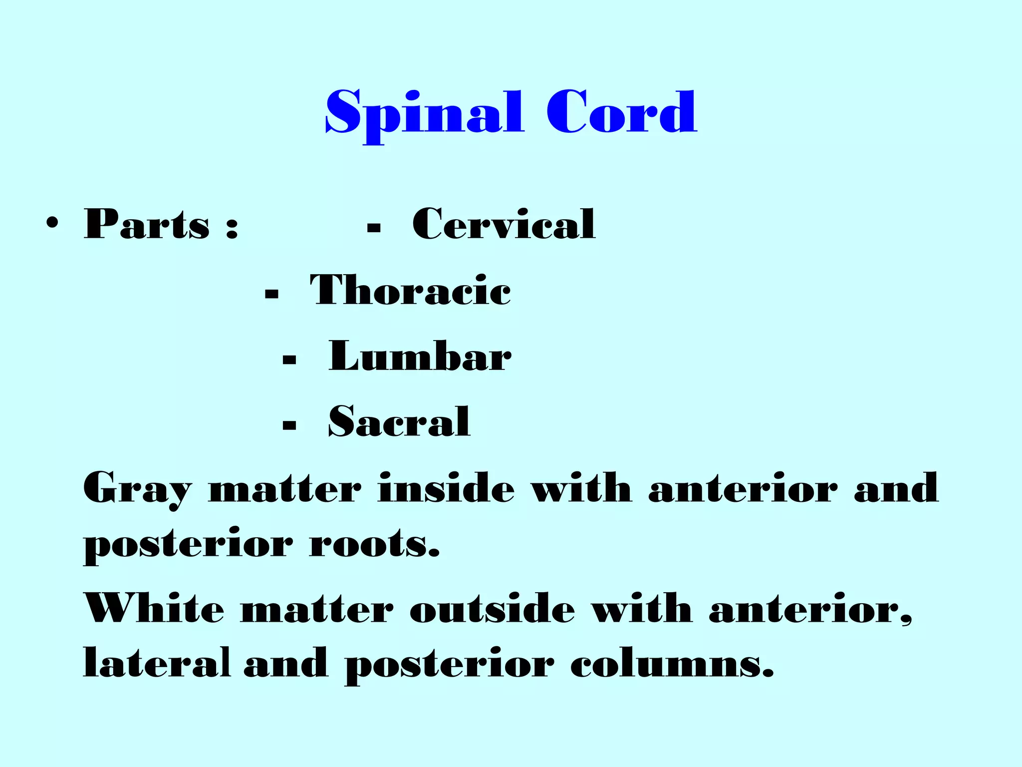 Spinal Cord
• Parts : - Cervical
- Thoracic
- Lumbar
- Sacral
Gray matter inside with anterior and
posterior roots.
White matter outside with anterior,
lateral and posterior columns.
 