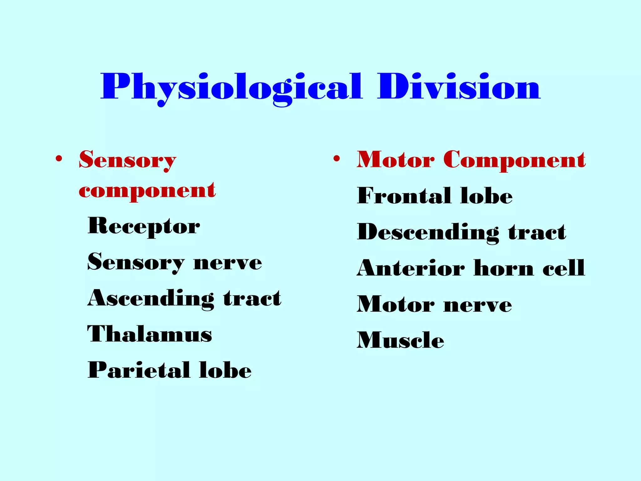 Physiological Division
• Sensory
component
Receptor
Sensory nerve
Ascending tract
Thalamus
Parietal lobe
• Motor Component
Frontal lobe
Descending tract
Anterior horn cell
Motor nerve
Muscle
 