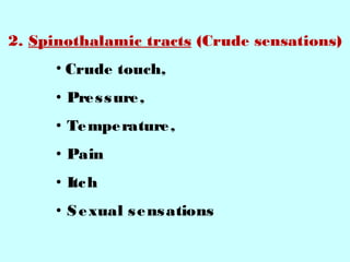 Nervous system | PPT