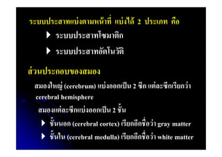 ระบบประสาทแบ่ งตามหน้ าที แบ่ งได้ 2 ประเภท คือ
 ระบบประสาทโซมาติก

 ระบบประสาทอัตโนวัติ

ส่ วนประกอบของสมอง
สมองใหญ่ (cerebrum) แบ่ งออกเป็ น 2 ซีก แต่ ละซีกเรียกว่ า
cerebral hemisphere
สมองแต่ ละซีกแบ่ งออกเป็ น 2 ชัน
 ชันนอก (cerebral cortex) เรียกอีกชือว่ า gray matter
 ชันใน (cerebral medulla) เรียกอีกชือว่ า white matter

 