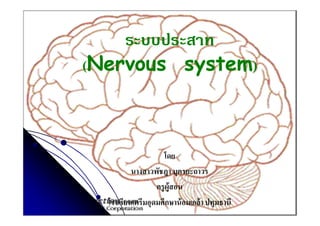 ระบบประสาท
(Nervous system)

โดย
นางสาวพัชฎา บุตรยะถาวร
ครู ผ้สอน
ู
โรงเรียนเตรีมอุดมศึกษาน้ อมเกล้ า ปทุมธานี

 