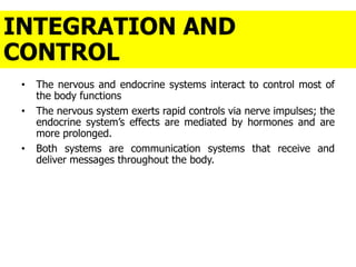 INTEGRATION AND
CONTROL
• The nervous and endocrine systems interact to control most of
the body functions
• The nervous system exerts rapid controls via nerve impulses; the
endocrine system’s effects are mediated by hormones and are
more prolonged.
• Both systems are communication systems that receive and
deliver messages throughout the body.
 