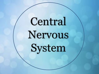 Central
Nervous
System
 