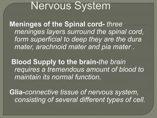 Meninges of the Spinal cord- three
meninges layers surround the spinal cord,
form superficial to deep they are the dura
mater, arachnoid mater and pia mater .
Blood Supply to the brain-the brain
requires a tremendous amount of blood to
maintain its normal function.
Glia-connective tissue of nervous system,
consisting of several different types of cell.
Nervous System
 