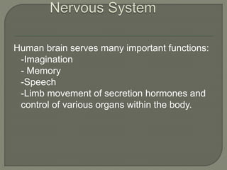 Human brain serves many important functions:
-Imagination
- Memory
-Speech
-Limb movement of secretion hormones and
control of various organs within the body.
 