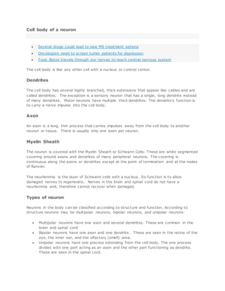 Cell body of a neuron
 Several drugs could lead to new MS treatment options
 Oncologists need to screen tumor patients for depression
 Toxic Botox travels through our nerves to reach central nervous system
The cell body is like any other cell with a nucleus or control center.
Dendrites
The cell body has several highly branched, thick extensions that appear like cables and are
called dendrites. The exception is a sensory neuron that has a single, long dendrite instead
of many dendrites. Motor neurons have multiple thick dendrites. The dendrite's function is
to carry a nerve impulse into the cell body.
Axon
An axon is a long, thin process that carries impulses away from the cell body to another
neuron or tissue. There is usually only one axon per neuron.
Myelin Sheath
The neuron is covered with the Myelin Sheath or Schwann Cells. These are white segmented
covering around axons and dendrites of many peripheral neurons. The covering is
continuous along the axons or dendrites except at the point of termination and at the nodes
of Ranvier.
The neurilemma is the layer of Schwann cells with a nucleus. Its function is to allow
damaged nerves to regenerate. Nerves in the brain and spinal cord do not have a
neurilemma and, therefore cannot recover when damaged.
Types of neuron
Neurons in the body can be classified according to structure and function. According to
structure neurons may be multipolar neurons, bipolar neurons, and unipolar neurons:
 Multipolar neurons have one axon and several dendrites. These are common in the
brain and spinal cord
 Bipolar neurons have one axon and one dendrite. These are seen in the retina of the
eye, the inner ear, and the olfactory (smell) area.
 Unipolar neurons have one process extending from the cell body. The one process
divides with one part acting as an axon and the other part functioning as dendrite.
These are seen in the spinal cord.
 