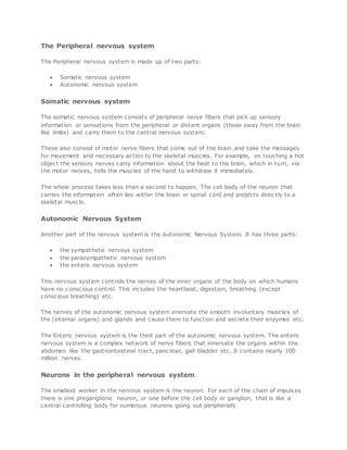 The Peripheral nervous system
The Peripheral nervous system is made up of two parts:
 Somatic nervous system
 Autonomic nervous system
Somatic nervous system
The somatic nervous system consists of peripheral nerve fibers that pick up sensory
information or sensations from the peripheral or distant organs (those away from the brain
like limbs) and carry them to the central nervous system.
These also consist of motor nerve fibers that come out of the brain and take the messages
for movement and necessary action to the skeletal muscles. For example, on touching a hot
object the sensory nerves carry information about the heat to the brain, which in turn, via
the motor nerves, tells the muscles of the hand to withdraw it immediately.
The whole process takes less than a second to happen. The cell body of the neuron that
carries the information often lies within the brain or spinal cord and projects direc tly to a
skeletal muscle.
Autonomic Nervous System
Another part of the nervous system is the Autonomic Nervous System. It has three parts:
 the sympathetic nervous system
 the parasympathetic nervous system
 the enteric nervous system
This nervous system controls the nerves of the inner organs of the body on which humans
have no conscious control. This includes the heartbeat, digestion, breathing (except
conscious breathing) etc.
The nerves of the autonomic nervous system enervate the smooth involuntary muscles of
the (internal organs) and glands and cause them to function and secrete their enzymes etc.
The Enteric nervous system is the third part of the autonomic nervous system. The enteric
nervous system is a complex network of nerve fibers that innervate the organs within the
abdomen like the gastrointestinal tract, pancreas, gall bladder etc. It contains nearly 100
million nerves.
Neurons in the peripheral nervous system
The smallest worker in the nervous system is the neuron. For each of the chain of impulses
there is one preganglionic neuron, or one before the cell body or ganglion, that is like a
central controlling body for numerous neurons going out peripherally.
 