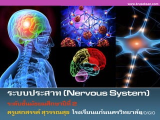 L/O/G/O
ระบบประสาท (Nervous System)
ระดับชั้นมัธยมศึกษาปีที่ 2
ครูเสกสรรค์ สุวรรณสุข โรงเรียนแก่นนครวิทยาลัย
www.kruseksan.com
 