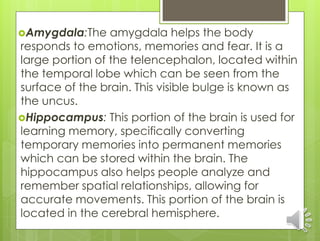 Nervous system | PPTX