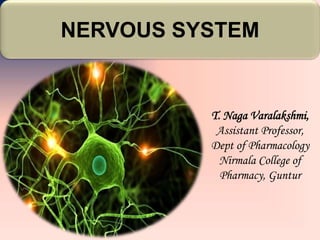 NERVOUS SYSTEM
T. Naga Varalakshmi,
Assistant Professor,
Dept of Pharmacology
Nirmala College of
Pharmacy, Guntur
 
