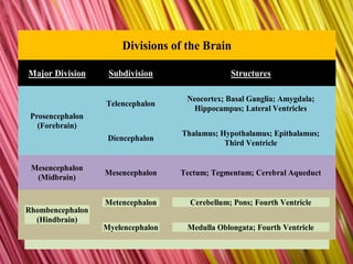 Nervous system | PPTX