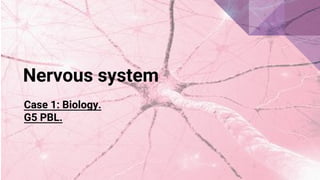 Nervous system
Case 1: Biology.
G5 PBL.
 