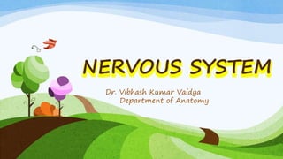 NERVOUS SYSTEM
Dr. Vibhash Kumar Vaidya
Department of Anatomy
 