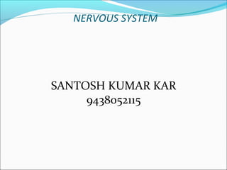 NERVOUS SYSTEM
SANTOSH KUMAR KAR
9438052115
 