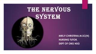 THE NERVOUS
SYSTEM
MRS.P.CHRISTENA,M.SC(N)
NURSING TUTOR,
DEPT OF OBG NSG
 