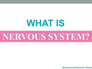 NERVOUS SYSTEM?
WHAT IS
Muhammad Nauman Khalid
 