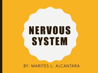 NERVOUS
SYSTEM
BY: MARITES L. ALCANTARA
 