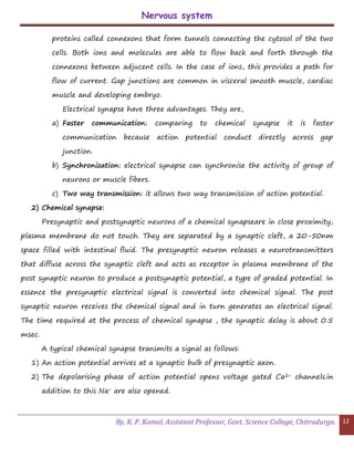 Nervous system
By, K. P. Komal, Assistant Professor, Govt. Science College, Chitradurga. 12
proteins called connexons that form tunnels connecting the cytosol of the two
cells. Both ions and molecules are able to flow back and forth through the
connexons between adjucent cells. In the case of ions, this provides a path for
flow of current. Gap junctions are common in visceral smooth muscle, cardiac
muscle and developing embryo.
Electrical synapse have three advantages. They are,
a) Faster communication: comparing to chemical synapse it is faster
communication because action potential conduct directly across gap
junction.
b) Synchronization: electrical synapse can synchronise the activity of group of
neurons or muscle fibers.
c) Two way transmission: it allows two way transmission of action potential.
2) Chemical synapse:
Presynaptic and postsynaptic neurons of a chemical synapseare in close proximity,
plasma membrane do not touch. They are separated by a synaptic cleft, a 20-50nm
space filled with intestinal fluid. The presynaptic neuron releases a neurotransmitters
that diffuse across the synaptic cleft and acts as receptor in plasma membrane of the
post synaptic neuron to produce a postsynaptic potential, a type of graded potential. In
essence the presynaptic electrical signal is converted into chemical signal. The post
synaptic neuron receives the chemical signal and in turn generates an electrical signal.
The time required at the process of chemical synapse , the synaptic delay is about 0.5
msec.
A typical chemical synapse transmits a signal as follows:
1) An action potential arrives at a synaptic bulb of presynaptic axon.
2) The depolarising phase of action potential opens voltage gated Ca2+ channels.in
addition to this Na+ are also opened.
 