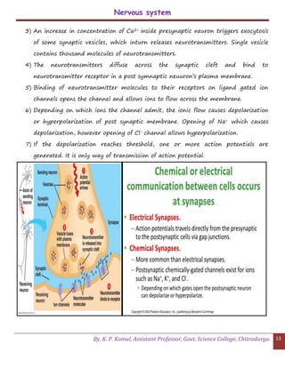Nervous system
By, K. P. Komal, Assistant Professor, Govt. Science College, Chitradurga. 13
3) An increase in concentration of Ca2+ inside presynaptic neuron triggers exocytosis
of some synaptic vesicles, which inturn releases neurotransmitters. Single vesicle
contains thousand molecules of neurotransmitters.
4) The neurotransmitters diffuse across the synaptic cleft and bind to
neurotransmitter receptor in a post symnaptic neuuron’s plasma membrane.
5) Binding of neurotransmitter molecules to their receptors on ligand gated ion
channels opens the channel and allows ions to flow across the membrane.
6) Depending on which ions the channel admit, the ionic flow causes depolarization
or hyperpolarization of post synaptic membrane. Opening of Na+ which causes
depolarization, however opening of Cl- channel allows hyperpolarization.
7) If the depolarization reaches threshold, one or more action potentials are
generated. It is only way of transmission of action potential.
 