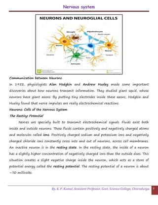 Nervous system
By, K. P. Komal, Assistant Professor, Govt. Science College, Chitradurga. 9
Communication between Neurons
In 1952, physiologists Alan Hodgkin and Andrew Huxley made some important
discoveries about how neurons transmit information. They studied giant squid, whose
neurons have giant axons. By putting tiny electrodes inside these axons, Hodgkin and
Huxley found that nerve impulses are really electrochemical reactions.
Neurons: Cells of the Nervous System
The Resting Potential
Nerves are specially built to transmit electrochemical signals. Fluids exist both
inside and outside neurons. These fluids contain positively and negatively charged atoms
and molecules called ions. Positively charged sodium and potassium ions and negatively
charged chloride ions constantly cross into and out of neurons, across cell membranes.
An inactive neuron is in the resting state. In the resting state, the inside of a neuron
has a slightly higher concentration of negatively charged ions than the outside does. This
situation creates a slight negative charge inside the neuron, which acts as a store of
potential energy called the resting potential. The resting potential of a neuron is about
–70 millivolts.
 
