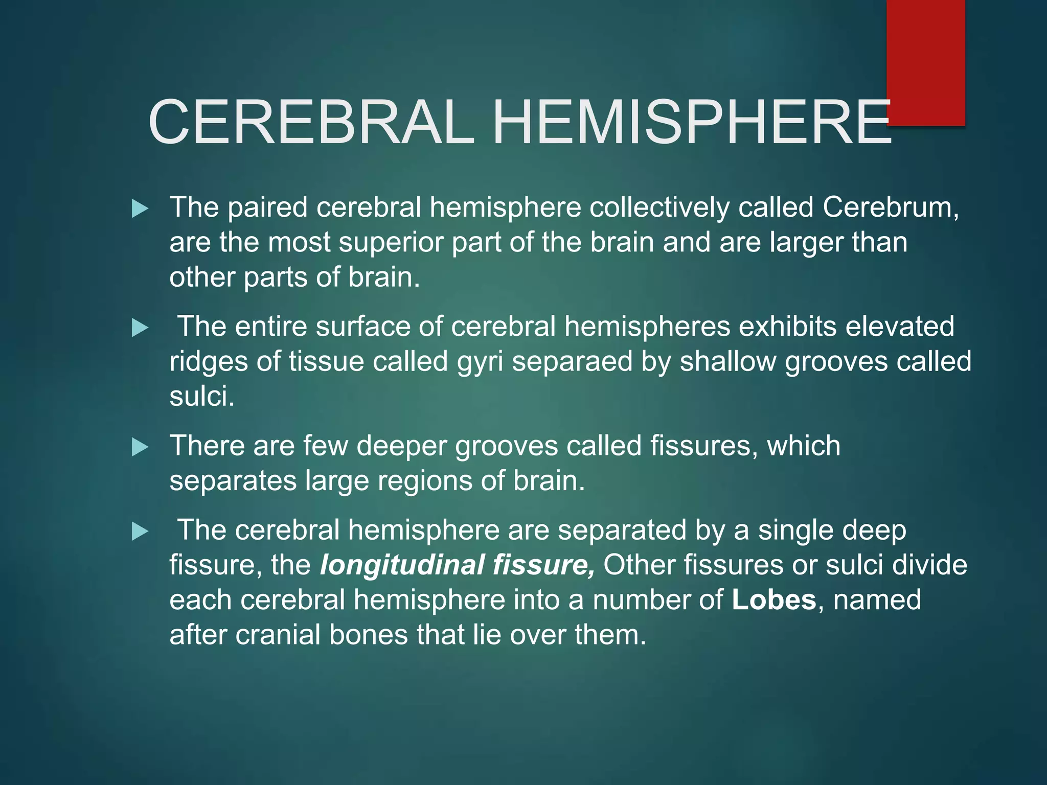 CEREBRAL HEMISPHERE
 The paired cerebral hemisphere collectively called Cerebrum,
are the most superior part of the brain and are larger than
other parts of brain.
 The entire surface of cerebral hemispheres exhibits elevated
ridges of tissue called gyri separaed by shallow grooves called
sulci.
 There are few deeper grooves called fissures, which
separates large regions of brain.
 The cerebral hemisphere are separated by a single deep
fissure, the longitudinal fissure, Other fissures or sulci divide
each cerebral hemisphere into a number of Lobes, named
after cranial bones that lie over them.
 