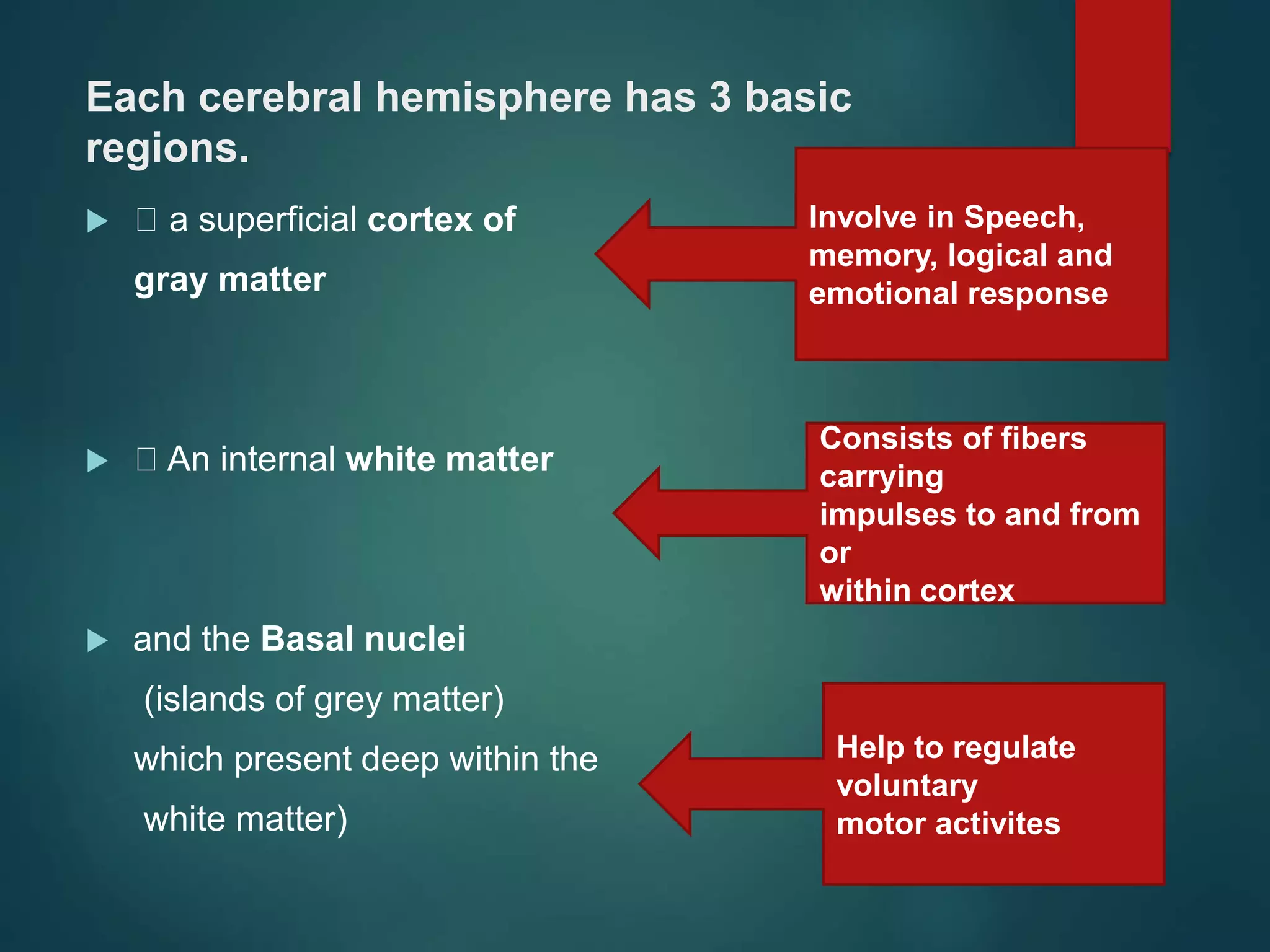 Each cerebral hemisphere has 3 basic
regions.
 a superficial cortex of
gray matter
 An internal white matter
 and the Basal nuclei
(islands of grey matter)
which present deep within the
white matter)
Involve in Speech,
memory, logical and
emotional response
Consists of fibers
carrying
impulses to and from
or
within cortex
Help to regulate
voluntary
motor activites
 