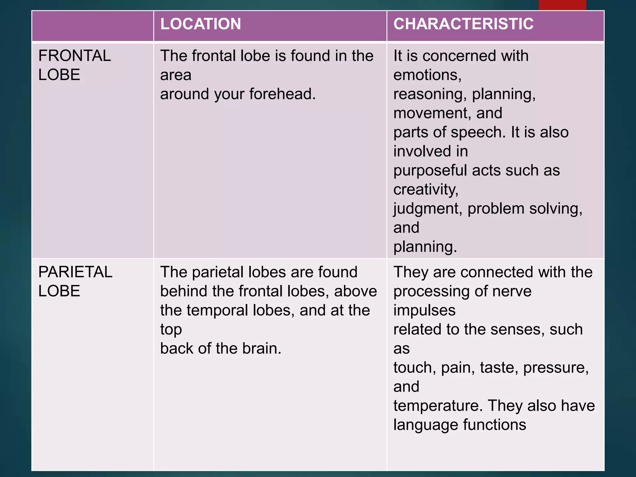 LOCATION CHARACTERISTIC
FRONTAL
LOBE
The frontal lobe is found in the
area
around your forehead.
It is concerned with
emotions,
reasoning, planning,
movement, and
parts of speech. It is also
involved in
purposeful acts such as
creativity,
judgment, problem solving,
and
planning.
PARIETAL
LOBE
The parietal lobes are found
behind the frontal lobes, above
the temporal lobes, and at the
top
back of the brain.
They are connected with the
processing of nerve
impulses
related to the senses, such
as
touch, pain, taste, pressure,
and
temperature. They also have
language functions
 