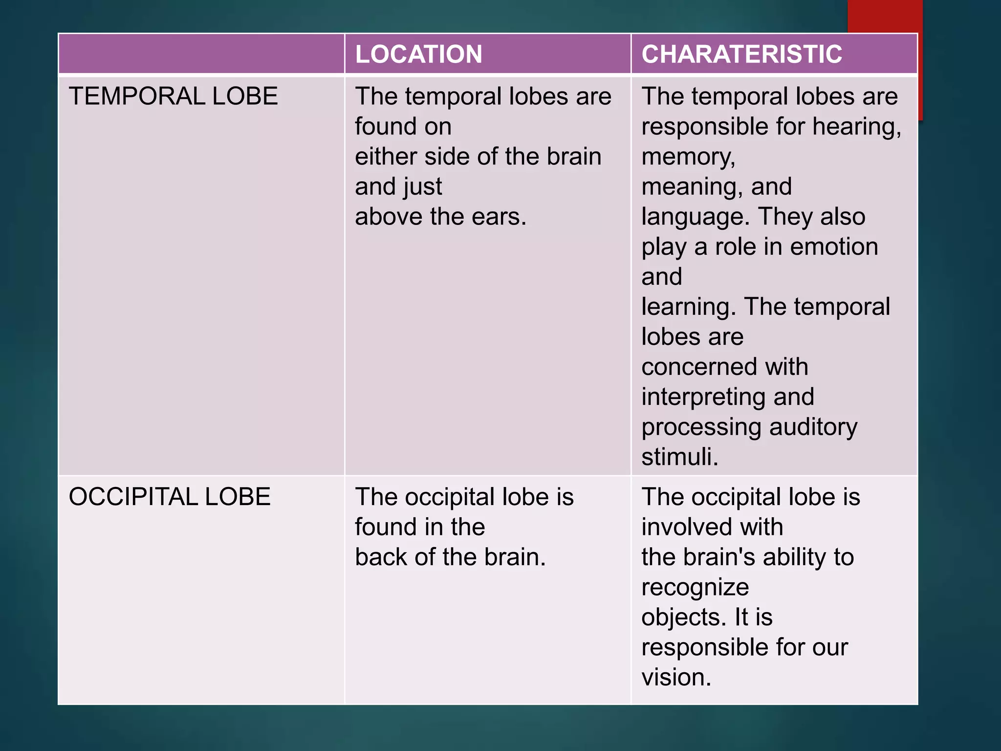 LOCATION CHARATERISTIC
TEMPORAL LOBE The temporal lobes are
found on
either side of the brain
and just
above the ears.
The temporal lobes are
responsible for hearing,
memory,
meaning, and
language. They also
play a role in emotion
and
learning. The temporal
lobes are
concerned with
interpreting and
processing auditory
stimuli.
OCCIPITAL LOBE The occipital lobe is
found in the
back of the brain.
The occipital lobe is
involved with
the brain's ability to
recognize
objects. It is
responsible for our
vision.
 