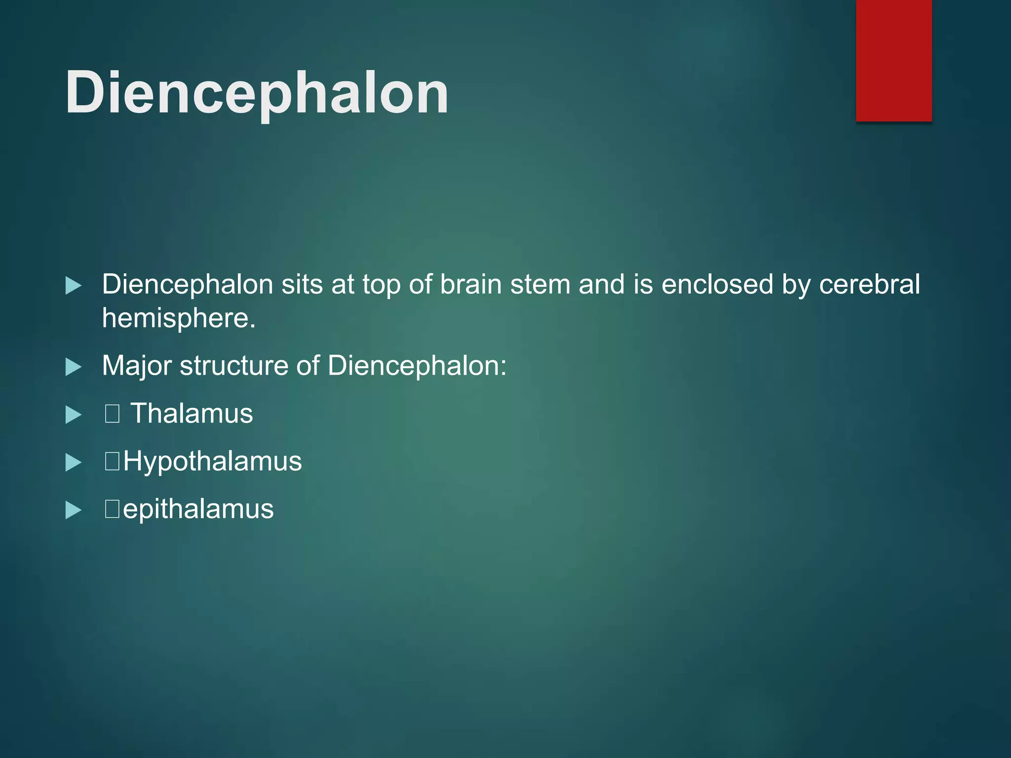Diencephalon
 Diencephalon sits at top of brain stem and is enclosed by cerebral
hemisphere.
 Major structure of Diencephalon:
 Thalamus
 Hypothalamus
 epithalamus
 
