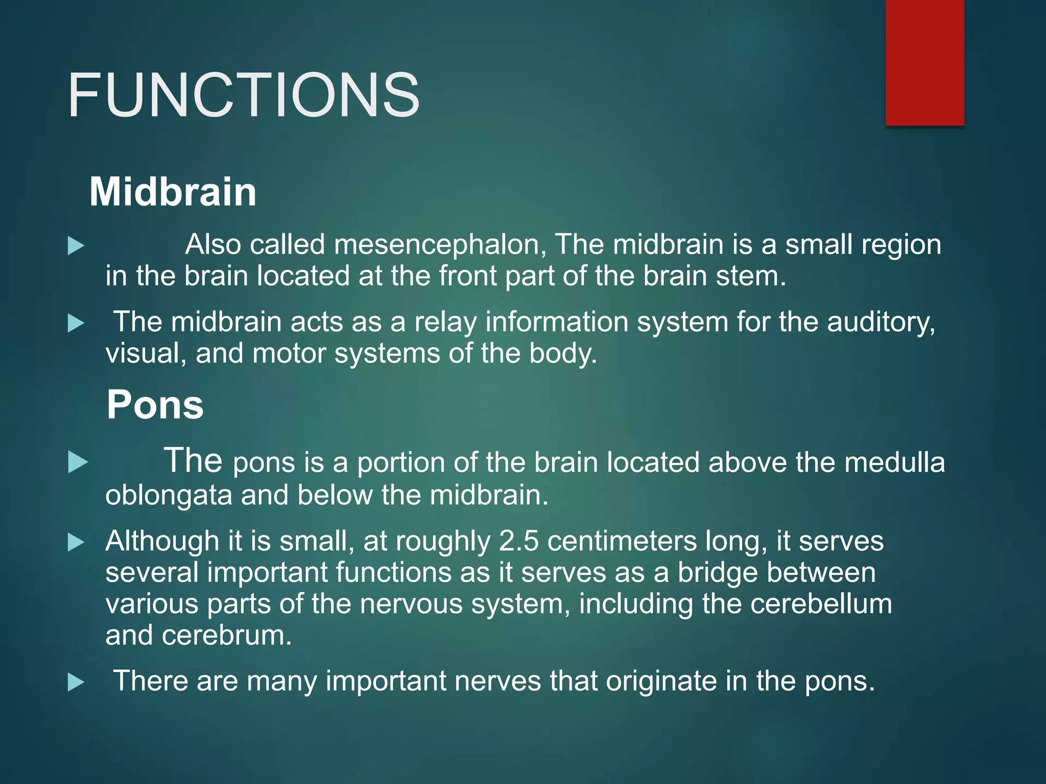 FUNCTIONS
Midbrain
 Also called mesencephalon, The midbrain is a small region
in the brain located at the front part of the brain stem.
 The midbrain acts as a relay information system for the auditory,
visual, and motor systems of the body.
Pons
 The pons is a portion of the brain located above the medulla
oblongata and below the midbrain.
 Although it is small, at roughly 2.5 centimeters long, it serves
several important functions as it serves as a bridge between
various parts of the nervous system, including the cerebellum
and cerebrum.
 There are many important nerves that originate in the pons.
 