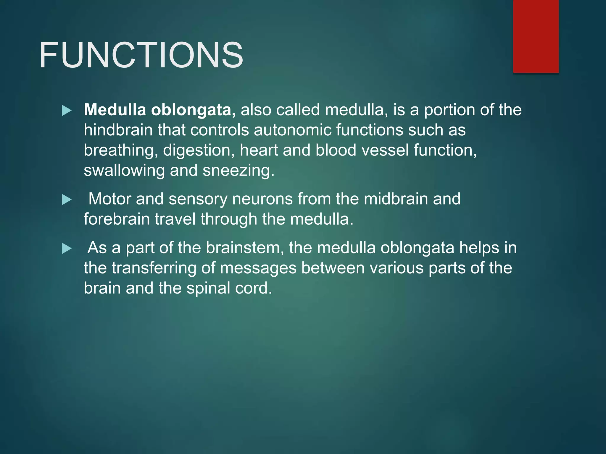 FUNCTIONS
 Medulla oblongata, also called medulla, is a portion of the
hindbrain that controls autonomic functions such as
breathing, digestion, heart and blood vessel function,
swallowing and sneezing.
 Motor and sensory neurons from the midbrain and
forebrain travel through the medulla.
 As a part of the brainstem, the medulla oblongata helps in
the transferring of messages between various parts of the
brain and the spinal cord.
 