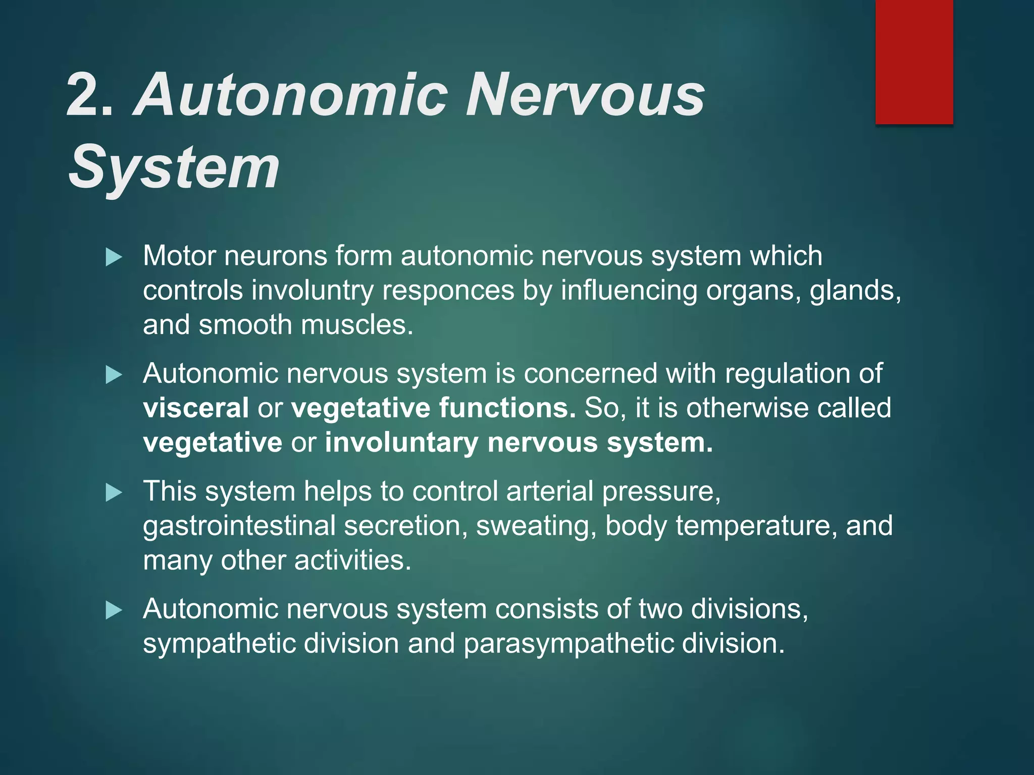 2. Autonomic Nervous
System
 Motor neurons form autonomic nervous system which
controls involuntry responces by influencing organs, glands,
and smooth muscles.
 Autonomic nervous system is concerned with regulation of
visceral or vegetative functions. So, it is otherwise called
vegetative or involuntary nervous system.
 This system helps to control arterial pressure,
gastrointestinal secretion, sweating, body temperature, and
many other activities.
 Autonomic nervous system consists of two divisions,
sympathetic division and parasympathetic division.
 
