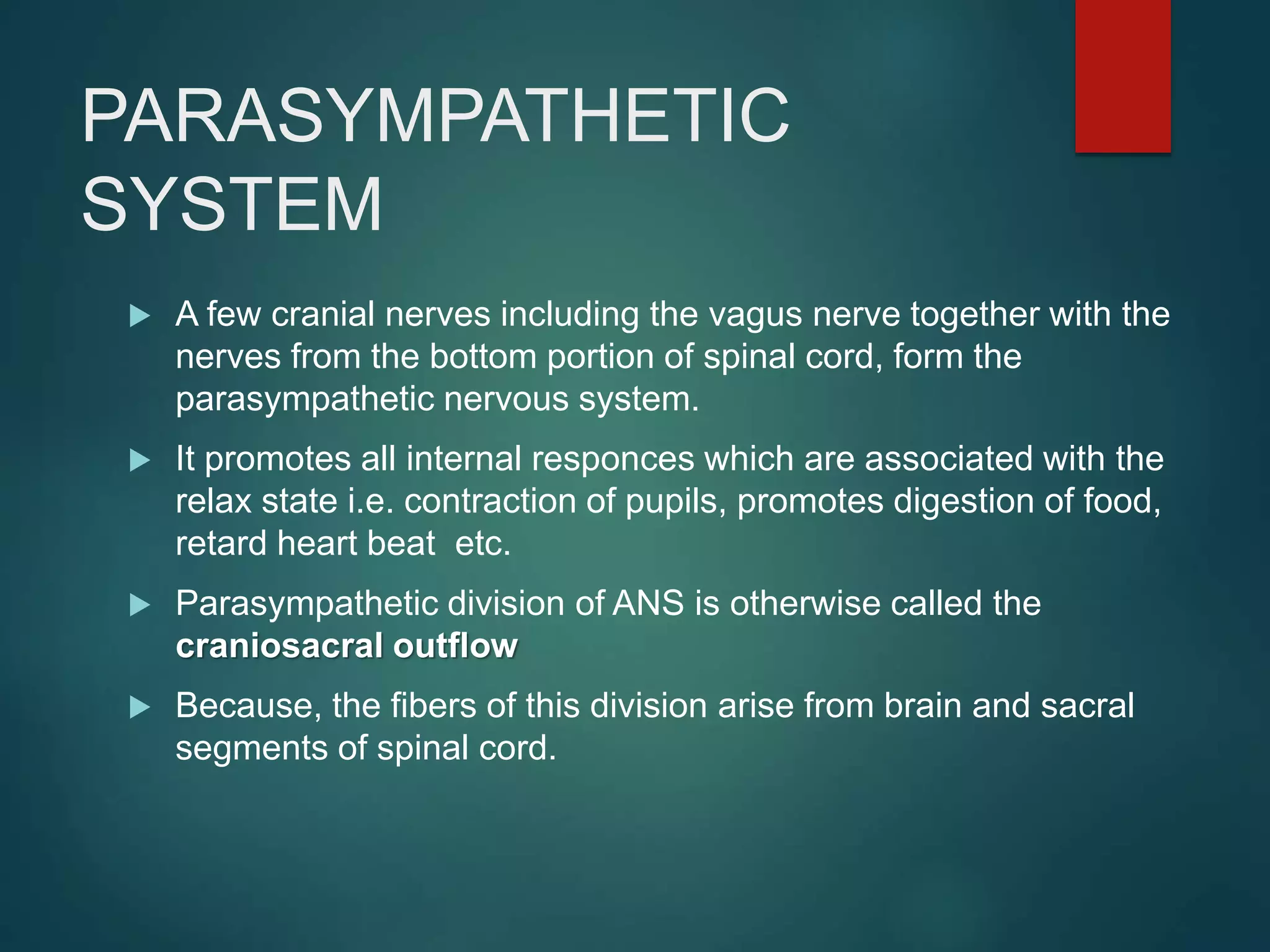 PARASYMPATHETIC
SYSTEM
 A few cranial nerves including the vagus nerve together with the
nerves from the bottom portion of spinal cord, form the
parasympathetic nervous system.
 It promotes all internal responces which are associated with the
relax state i.e. contraction of pupils, promotes digestion of food,
retard heart beat etc.
 Parasympathetic division of ANS is otherwise called the
craniosacral outflow
 Because, the fibers of this division arise from brain and sacral
segments of spinal cord.
 