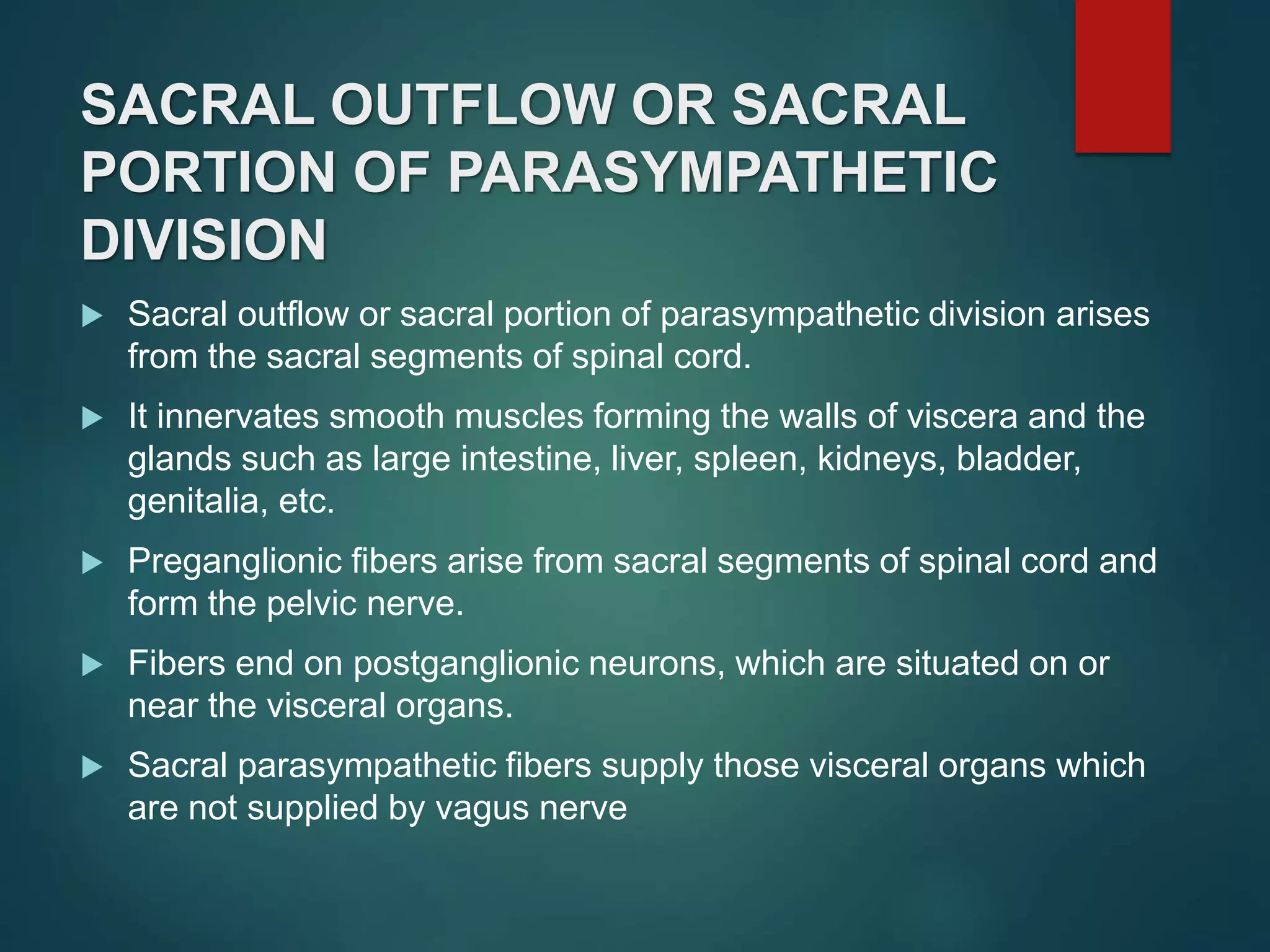 SACRAL OUTFLOW OR SACRAL
PORTION OF PARASYMPATHETIC
DIVISION
 Sacral outflow or sacral portion of parasympathetic division arises
from the sacral segments of spinal cord.
 It innervates smooth muscles forming the walls of viscera and the
glands such as large intestine, liver, spleen, kidneys, bladder,
genitalia, etc.
 Preganglionic fibers arise from sacral segments of spinal cord and
form the pelvic nerve.
 Fibers end on postganglionic neurons, which are situated on or
near the visceral organs.
 Sacral parasympathetic fibers supply those visceral organs which
are not supplied by vagus nerve
 