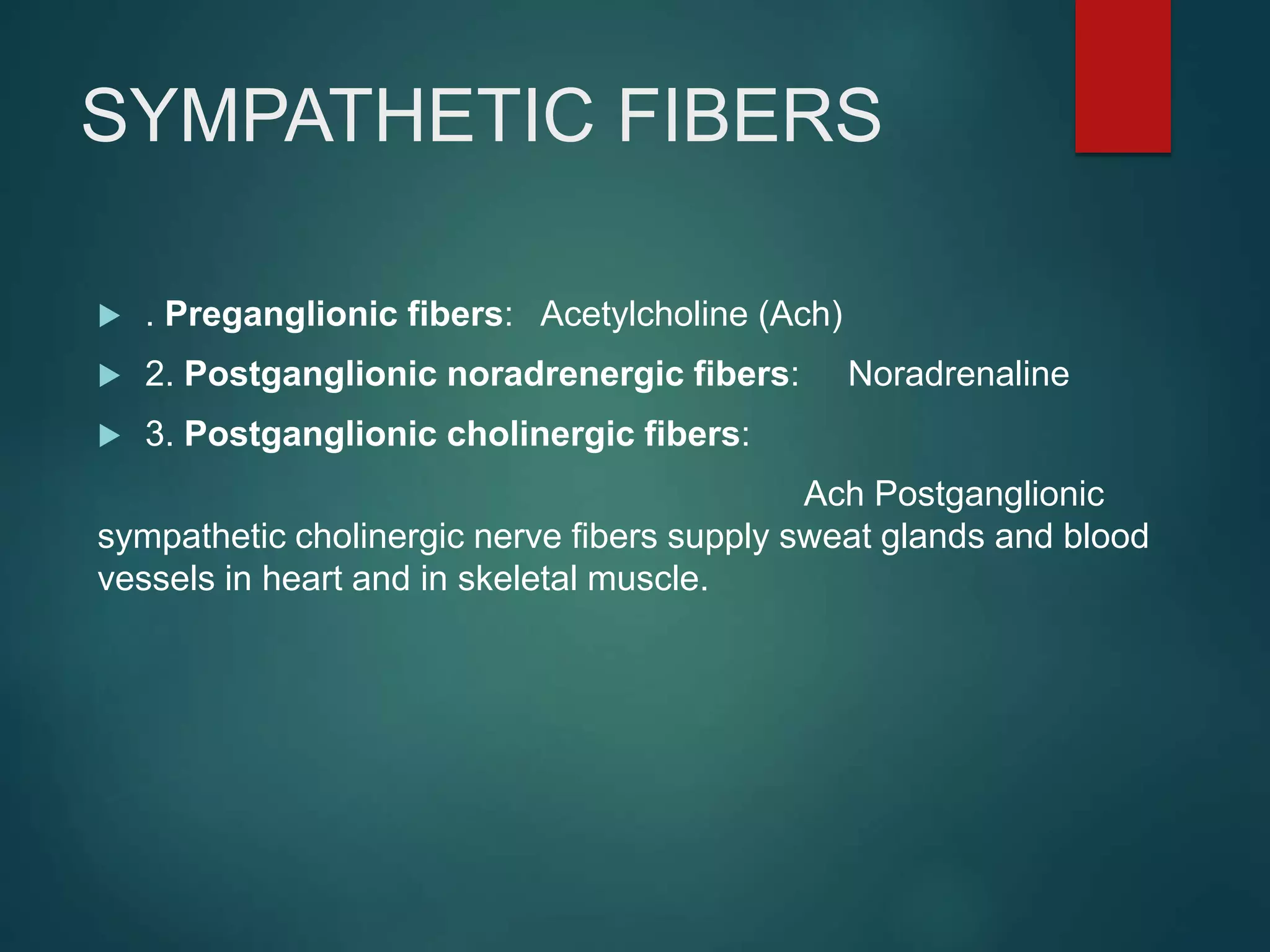 SYMPATHETIC FIBERS
 . Preganglionic fibers: Acetylcholine (Ach)
 2. Postganglionic noradrenergic fibers: Noradrenaline
 3. Postganglionic cholinergic fibers:
Ach Postganglionic
sympathetic cholinergic nerve fibers supply sweat glands and blood
vessels in heart and in skeletal muscle.
 