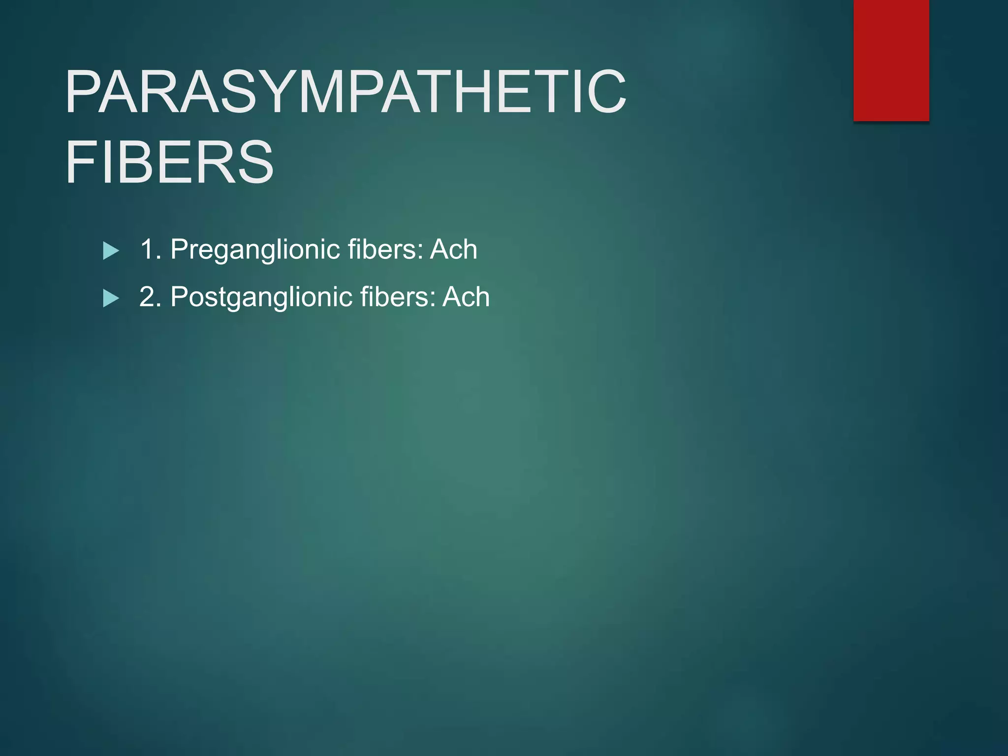 PARASYMPATHETIC
FIBERS
 1. Preganglionic fibers: Ach
 2. Postganglionic fibers: Ach
 
