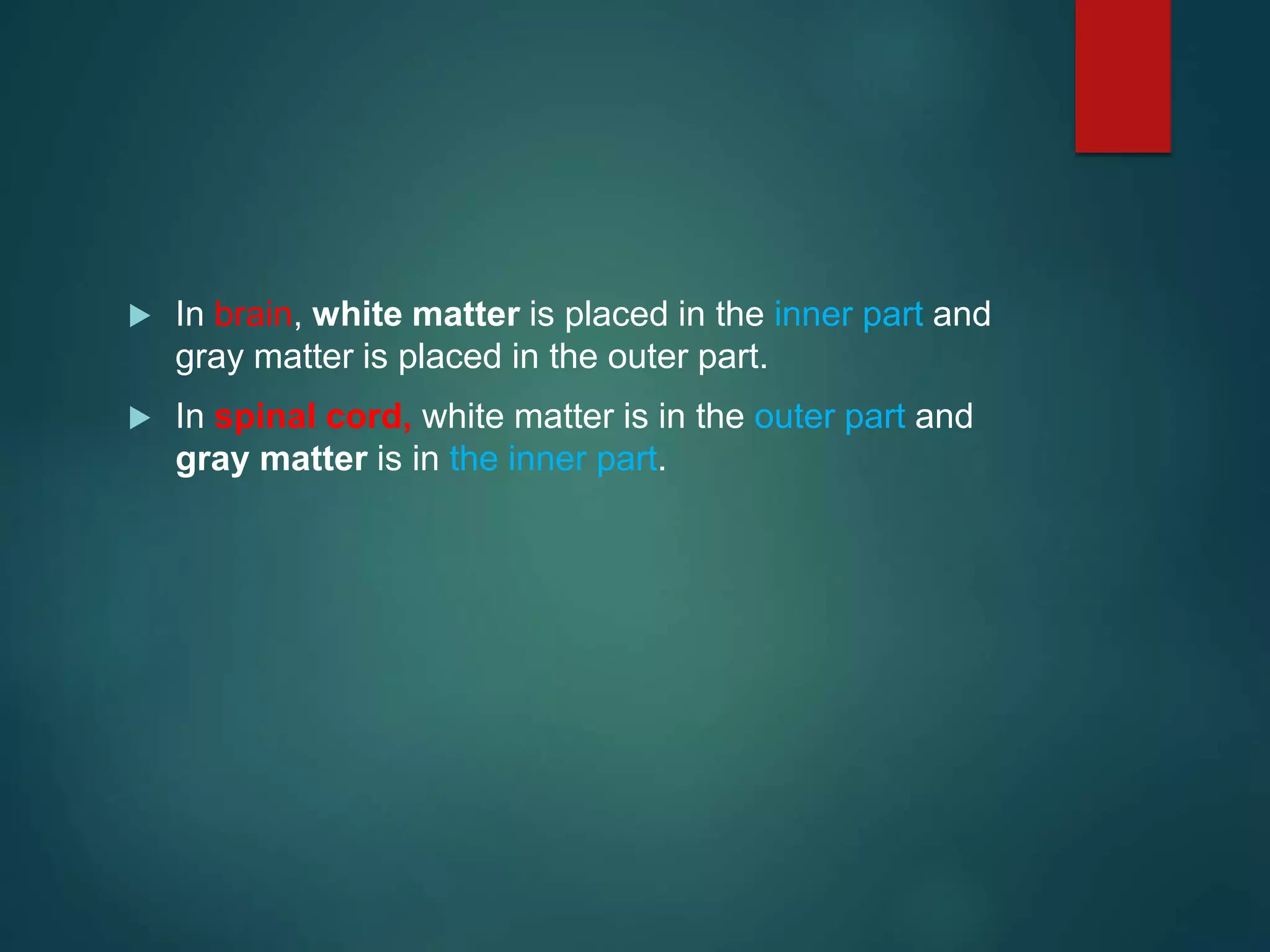  In brain, white matter is placed in the inner part and
gray matter is placed in the outer part.
 In spinal cord, white matter is in the outer part and
gray matter is in the inner part.
 