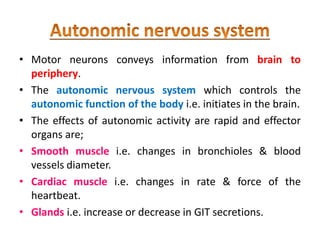 • Motor neurons conveys information from brain to
periphery.
• The autonomic nervous system which controls the
autonomic function of the body i.e. initiates in the brain.
• The effects of autonomic activity are rapid and effector
organs are;
• Smooth muscle i.e. changes in bronchioles & blood
vessels diameter.
• Cardiac muscle i.e. changes in rate & force of the
heartbeat.
• Glands i.e. increase or decrease in GIT secretions.
 