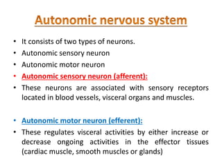 • It consists of two types of neurons.
• Autonomic sensory neuron
• Autonomic motor neuron
• Autonomic sensory neuron (afferent):
• These neurons are associated with sensory receptors
located in blood vessels, visceral organs and muscles.
• Autonomic motor neuron (efferent):
• These regulates visceral activities by either increase or
decrease ongoing activities in the effector tissues
(cardiac muscle, smooth muscles or glands)
 