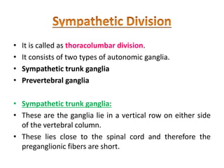 • It is called as thoracolumbar division.
• It consists of two types of autonomic ganglia.
• Sympathetic trunk ganglia
• Prevertebral ganglia
• Sympathetic trunk ganglia:
• These are the ganglia lie in a vertical row on either side
of the vertebral column.
• These lies close to the spinal cord and therefore the
preganglionic fibers are short.
 