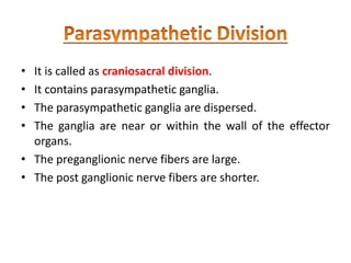 • It is called as craniosacral division.
• It contains parasympathetic ganglia.
• The parasympathetic ganglia are dispersed.
• The ganglia are near or within the wall of the effector
organs.
• The preganglionic nerve fibers are large.
• The post ganglionic nerve fibers are shorter.
 