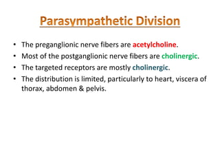 • The preganglionic nerve fibers are acetylcholine.
• Most of the postganglionic nerve fibers are cholinergic.
• The targeted receptors are mostly cholinergic.
• The distribution is limited, particularly to heart, viscera of
thorax, abdomen & pelvis.
 