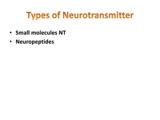 • Small molecules NT
• Neuropeptides
 