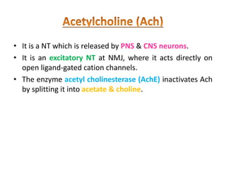 • It is a NT which is released by PNS & CNS neurons.
• It is an excitatory NT at NMJ, where it acts directly on
open ligand-gated cation channels.
• The enzyme acetyl cholinesterase (AchE) inactivates Ach
by splitting it into acetate & choline.
 