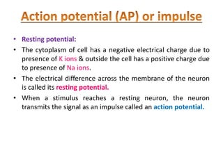 • Resting potential:
• The cytoplasm of cell has a negative electrical charge due to
presence of K ions & outside the cell has a positive charge due
to presence of Na ions.
• The electrical difference across the membrane of the neuron
is called its resting potential.
• When a stimulus reaches a resting neuron, the neuron
transmits the signal as an impulse called an action potential.
 