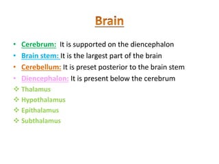 • Cerebrum: It is supported on the diencephalon
• Brain stem: It is the largest part of the brain
• Cerebellum: It is preset posterior to the brain stem
• Diencephalon: It is present below the cerebrum
 Thalamus
 Hypothalamus
 Epithalamus
 Subthalamus
 
