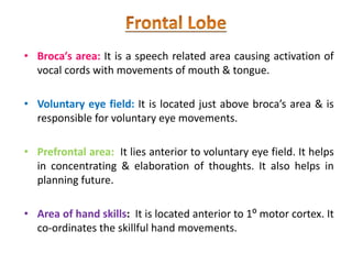 • Broca′s area: It is a speech related area causing activation of
vocal cords with movements of mouth & tongue.
• Voluntary eye field: It is located just above broca’s area & is
responsible for voluntary eye movements.
• Prefrontal area: It lies anterior to voluntary eye field. It helps
in concentrating & elaboration of thoughts. It also helps in
planning future.
• Area of hand skills: It is located anterior to 1⁰ motor cortex. It
co-ordinates the skillful hand movements.
 