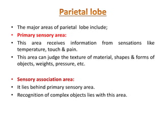 • The major areas of parietal lobe include;
• Primary sensory area:
• This area receives information from sensations like
temperature, touch & pain.
• This area can judge the texture of material, shapes & forms of
objects, weights, pressure, etc.
• Sensory association area:
• It lies behind primary sensory area.
• Recognition of complex objects lies with this area.
 