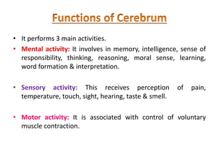 • It performs 3 main activities.
• Mental activity: It involves in memory, intelligence, sense of
responsibility, thinking, reasoning, moral sense, learning,
word formation & interpretation.
• Sensory activity: This receives perception of pain,
temperature, touch, sight, hearing, taste & smell.
• Motor activity: It is associated with control of voluntary
muscle contraction.
 