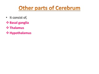 • It consist of,
Basal ganglia
Thalamus
Hypothalamus
 